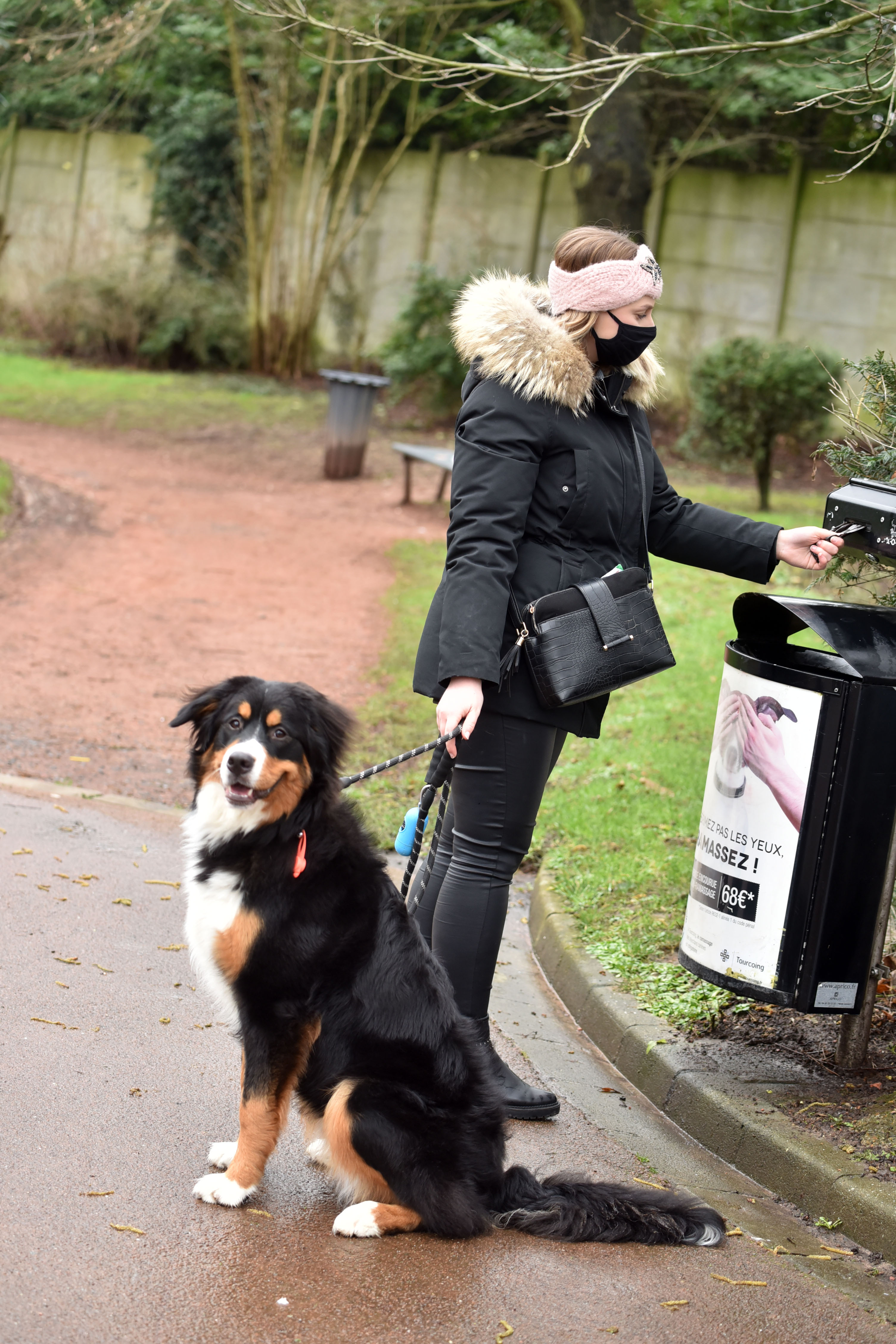 déjections canines