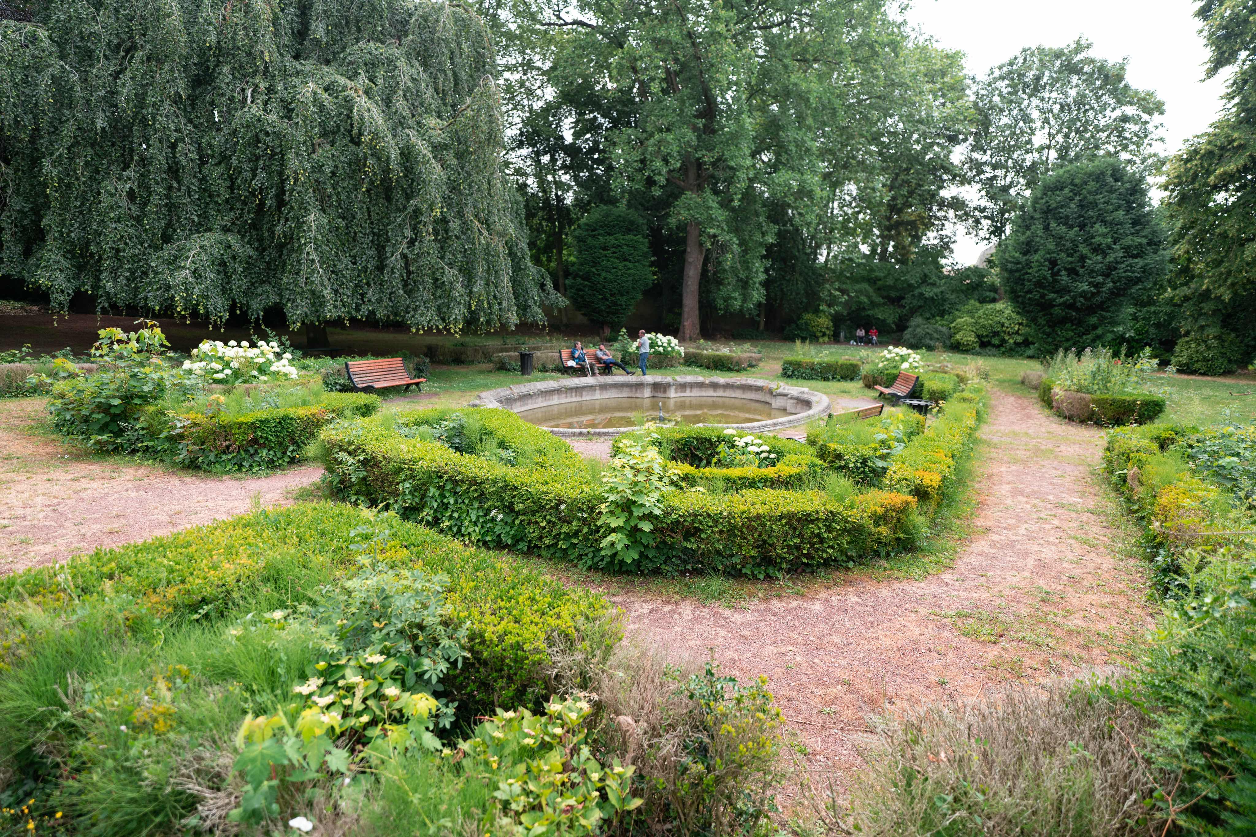 Jardingambetta