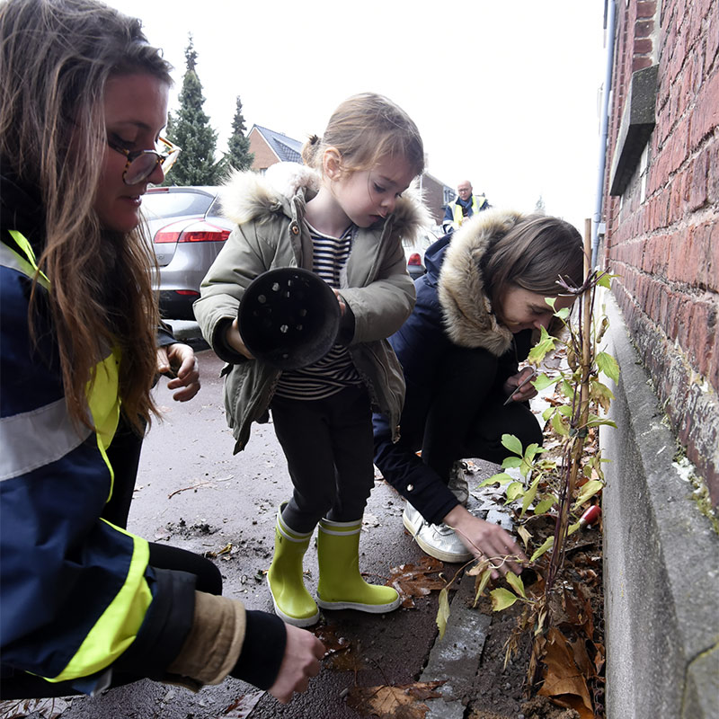 Tourcoing main verte   enfants