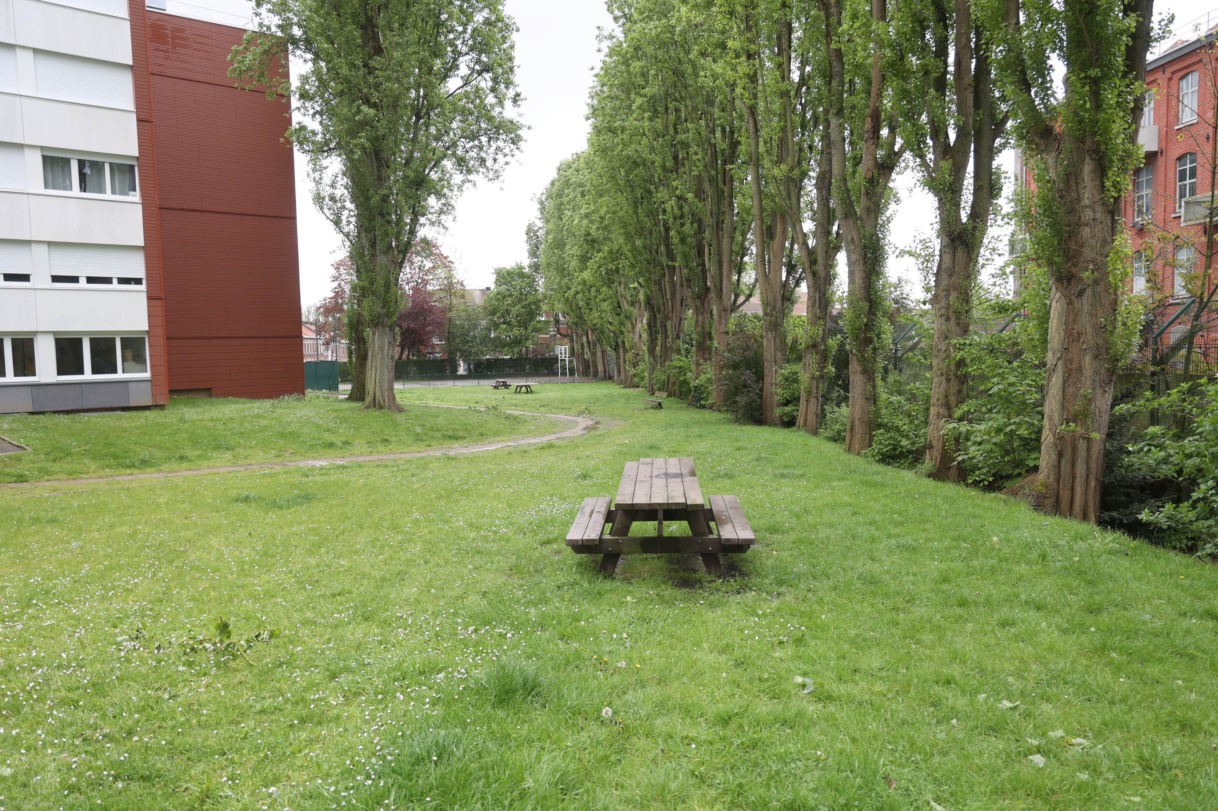 Square Piats
