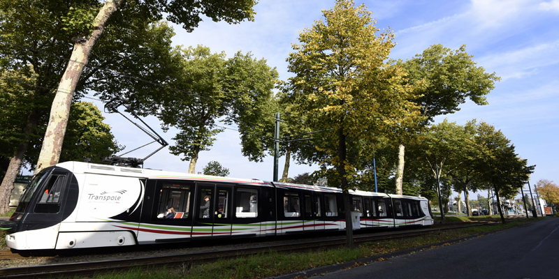 Perturbation du réseau de tramway cet été / Actualités ...