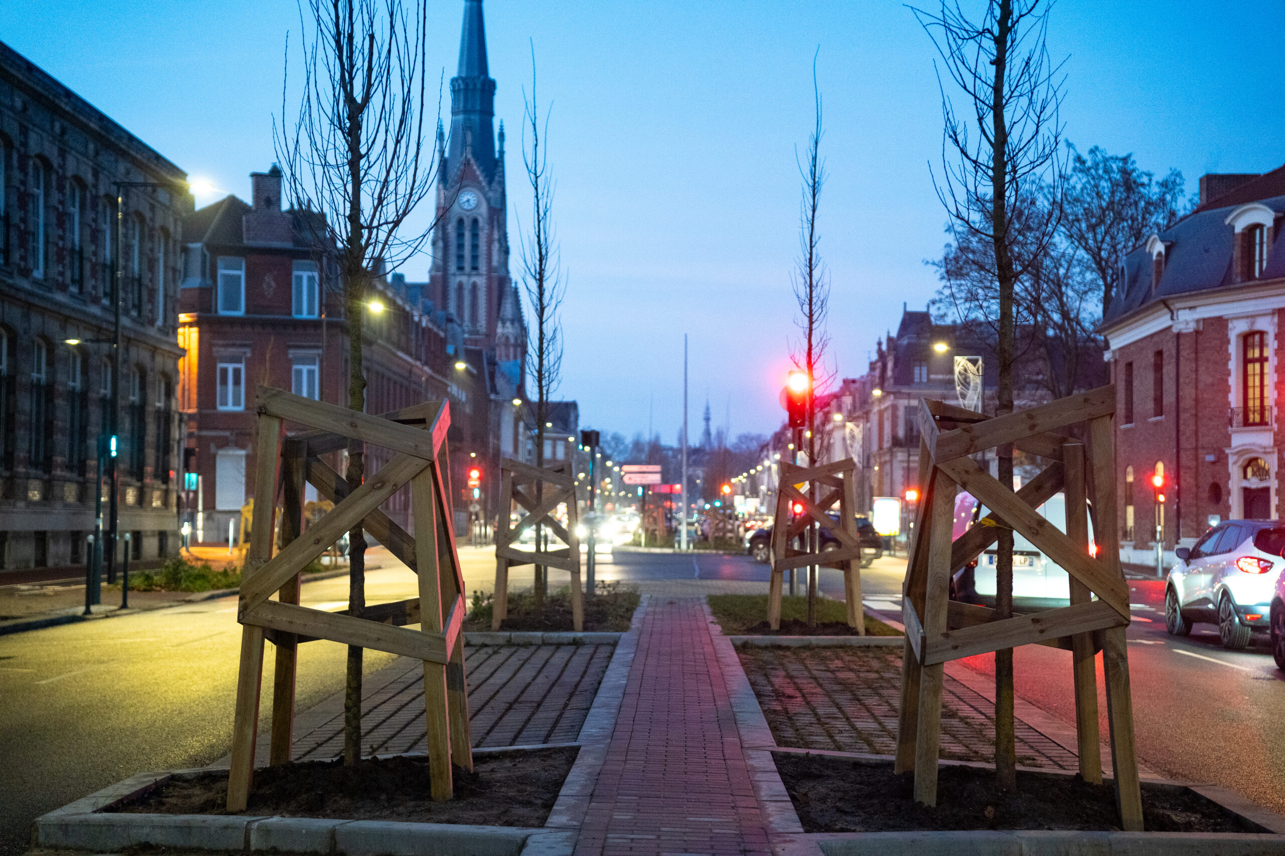 Plus d'arbre en ville