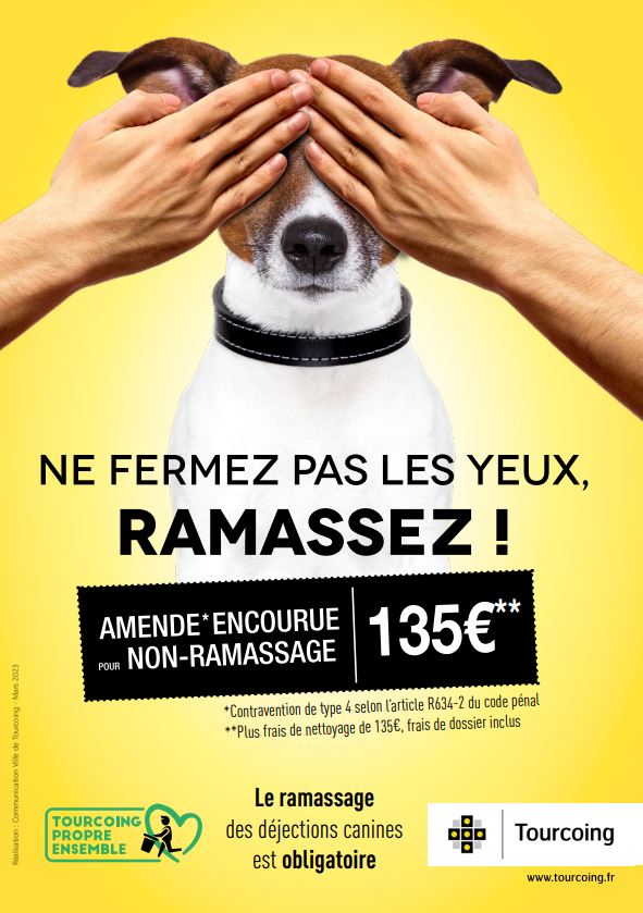 Affiche A4 déjections canines