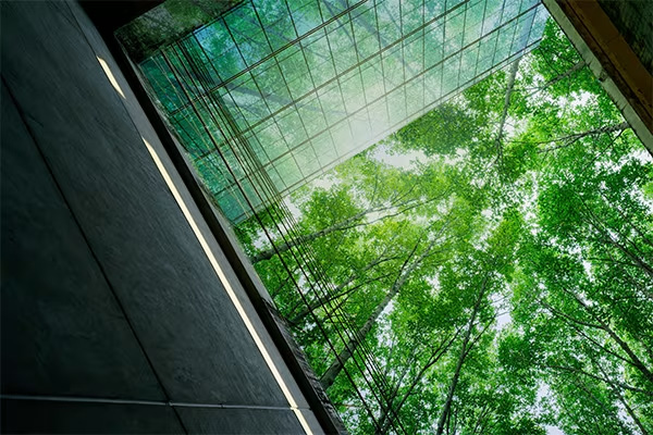 Droit de Préemption Urbain