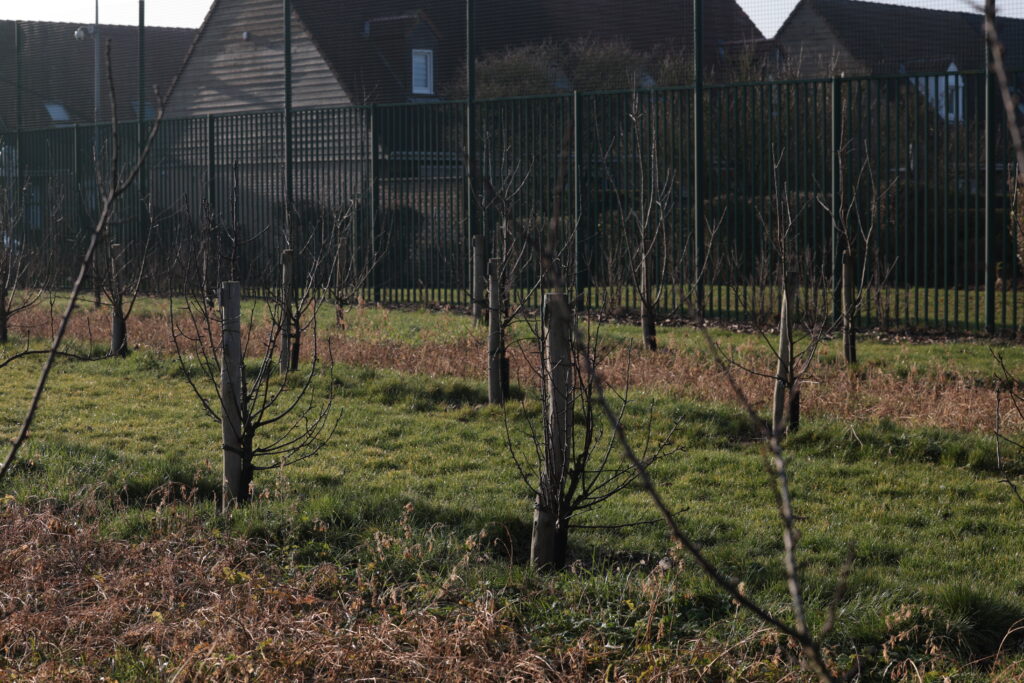 Verger des Hauts de Neuville