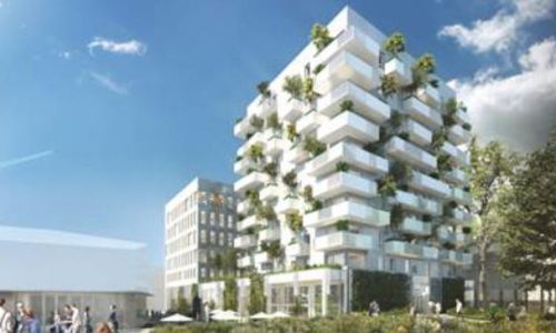 Carrefour Habitat Image Lead Child